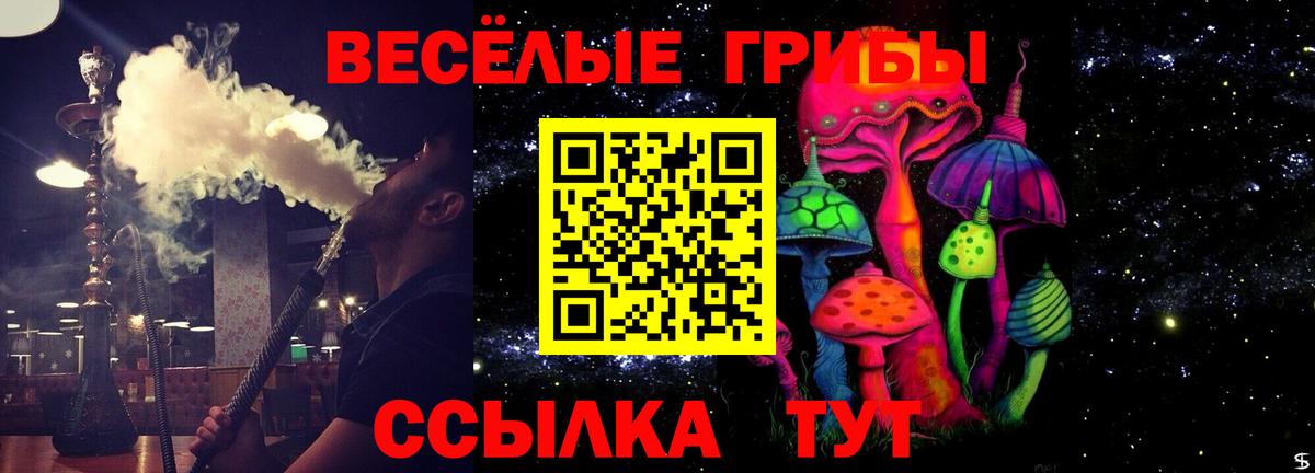Галлюциногенные грибы мицелий  Вход с VPN  Котовск  Галлюциногенные грибы Magic Shrooms 